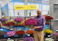 Jason Twaddell of Ball FloraPlant holding the Calibrachoa Cabaret Good Night Kiss, a new variety added to the Cabaret series. The entire series is early flowering, uniform in habit and flowering time, so all colors can be mixed. It is well-branched with full centers and most varieties flower with an 11 hour day length and stay open and in flower under low light conditions – a big plus for retail.